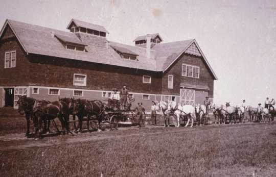 Black and white photograph of teams of horses with equipment and drivers in front of a barn, 1910.