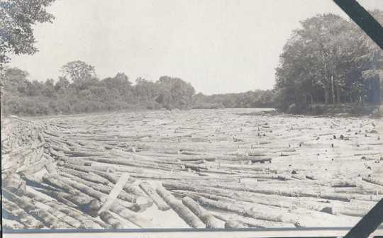 Black and white photograph of logs in the Red Lake River at Crookston, ca. 1890–1910.