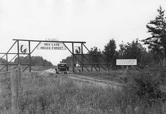 Red Lake Indian Forest