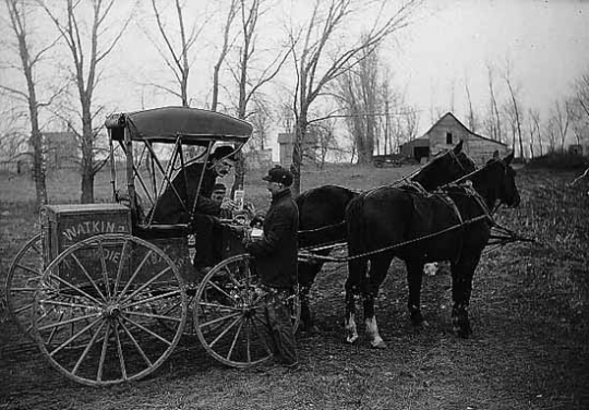 C.A. Lawrence, Watkins' Remedies salesman