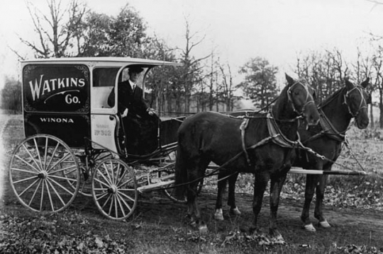 A.W. Jesperson, salesman for Watkins' Remedies of Minneapolis