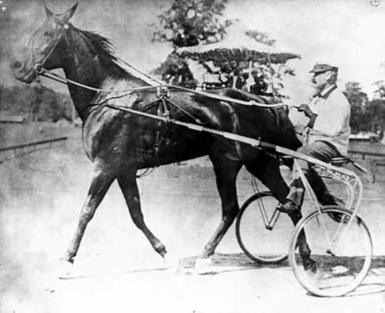 Dan Patch driven by M.E. McHenry, his first trainer