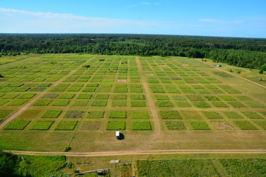 Aerial view of the BigBio project inside Cedar Creek Ecosystem Science Reserve.