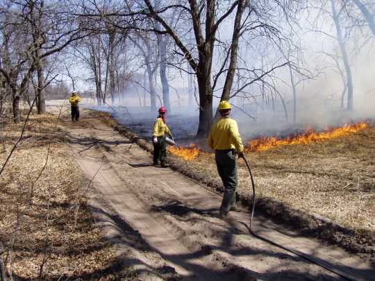 Prescribed burn inside Cedar Creek Ecosystem Science Reserve