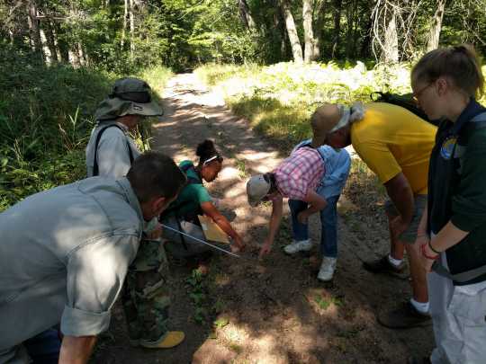 Citizen scientists at work at Cedar Creek Ecosystem Science Reserve