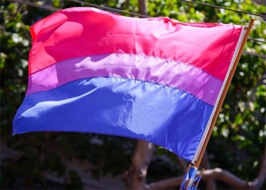 Bisexual pride flag