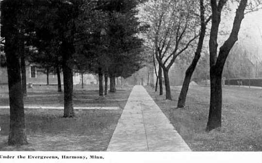Photograph of Residential street, Harmony, MN
